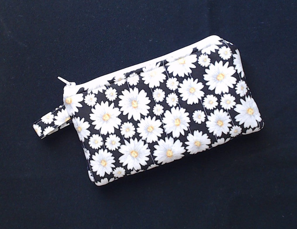 Glasses/ pencil case