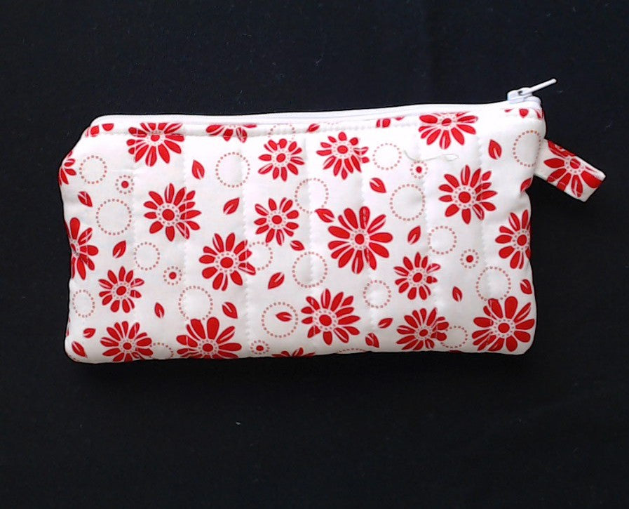 Glasses /pencil case